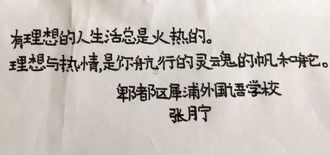 孤独的流浪者救援